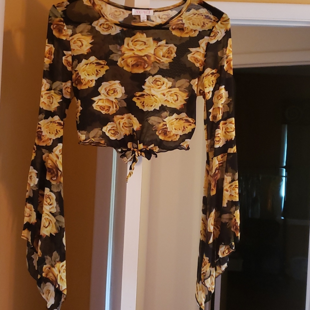 Long sleeve see through crop top